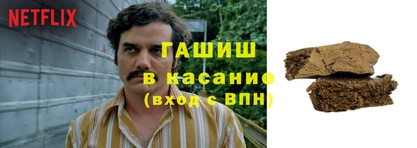 гидра Мегион