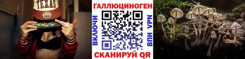 купить наркоту Суджа Псилоцибиновые грибы Cubensis
